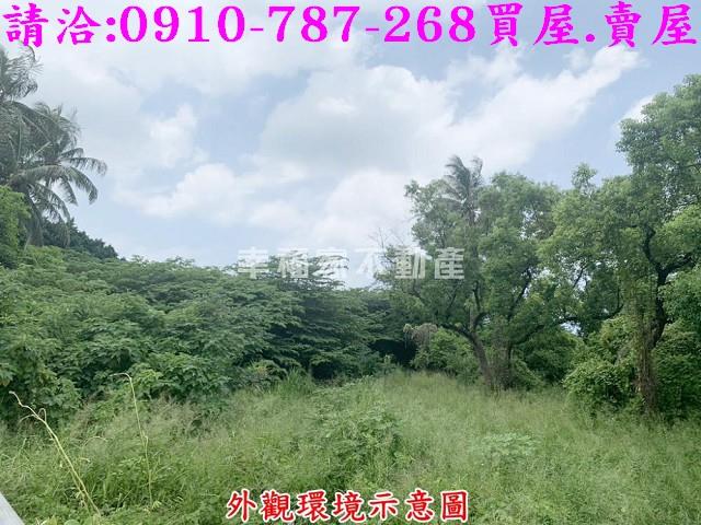 仁德農地-4