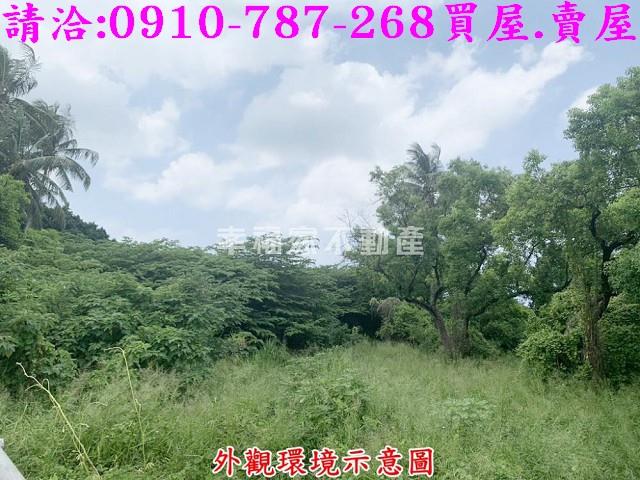 仁德農地-5