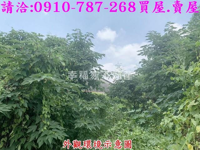 仁德農地-6