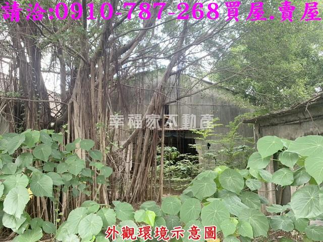 仁德農地-7