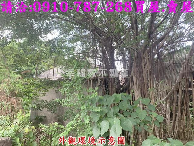 仁德農地-8