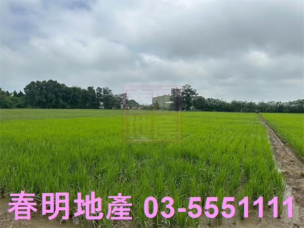 新豐農地-0