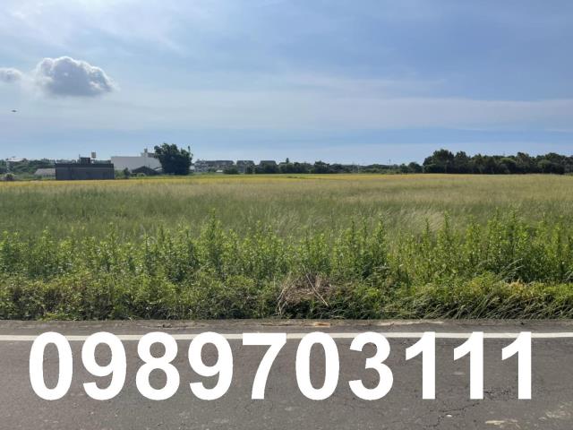 桃園觀音農地-1