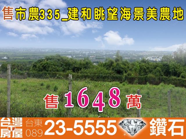 台東台東市農地-0