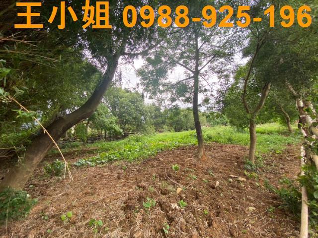 桃園蘆竹農地-10