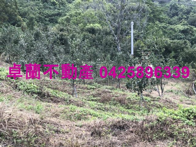 苗栗農地-5