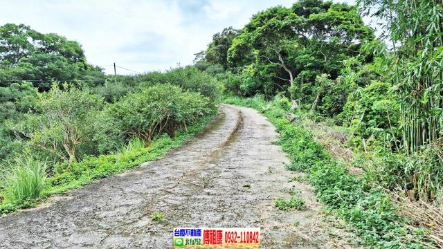 苗栗農地-11