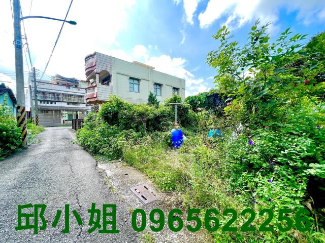 嘉義水上農地-1