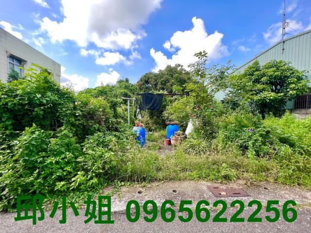 嘉義水上農地-0