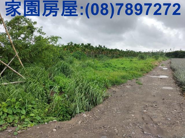 屏東麟洛大面寬休閒農地D