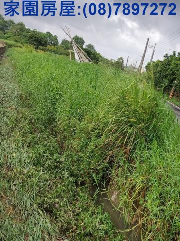 屏東潮州農地-2