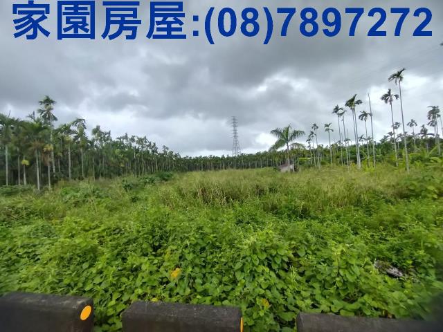 屏東潮州農地-0