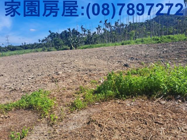 屏東萬巒農地-3