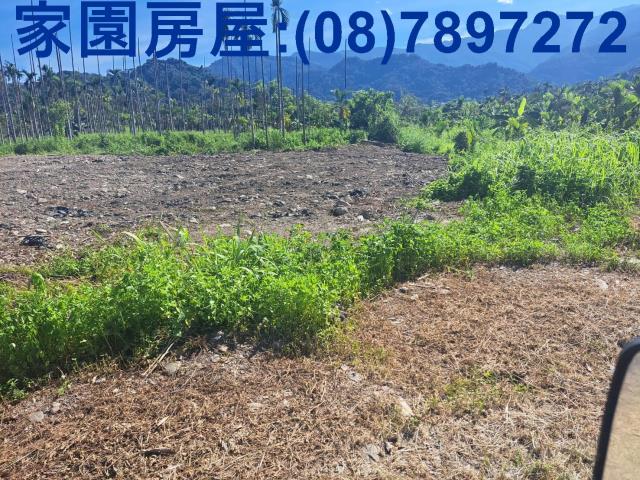 屏東萬巒農地-4