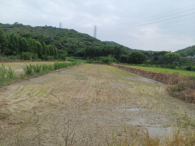桃園農地-0