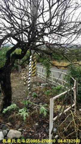 田中農地-2