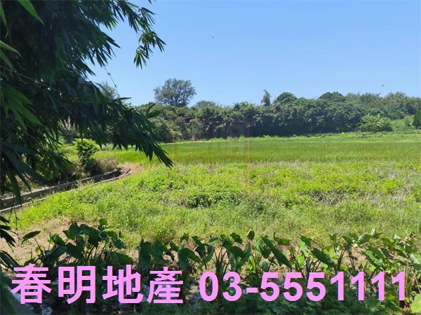 新竹竹北農地-1