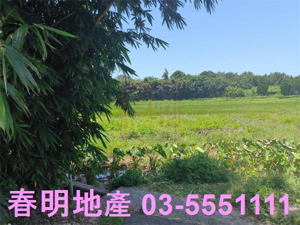 新竹竹北農地-5