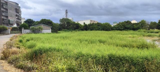 桃園蘆竹農地-0