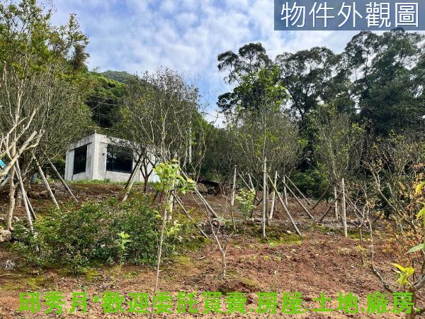 新北淡水農地-1