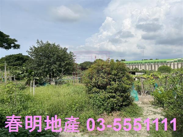 新竹東區農地-2