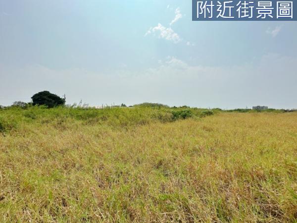 仁德農地-3