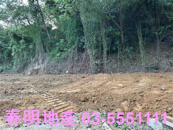 新竹香山農地-11