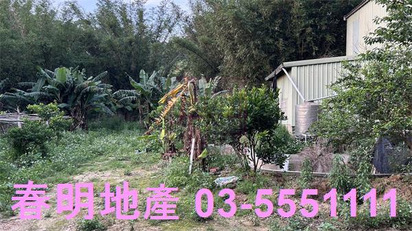 新竹香山農地-1