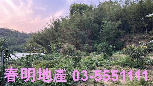 新竹香山農地-5