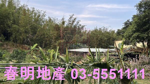 新竹香山農地-6