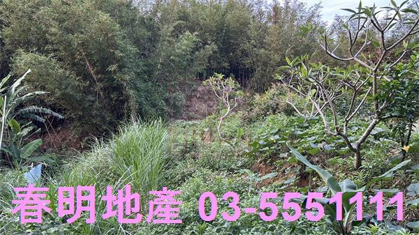 新竹香山農地-7