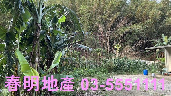 新竹香山農地-8