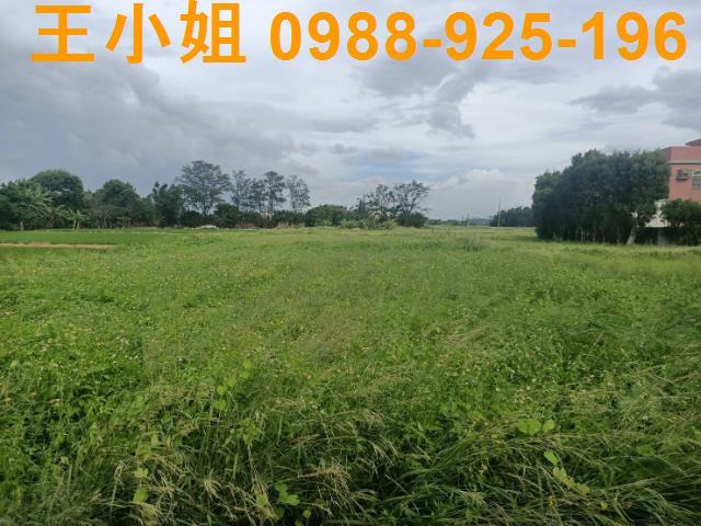 桃園新屋農地-10