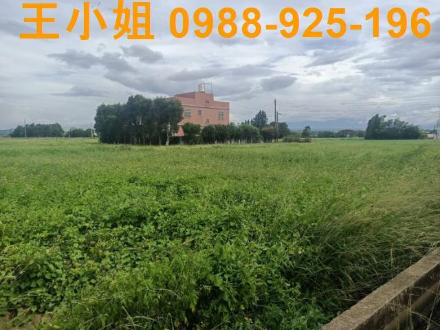 桃園新屋農地-11