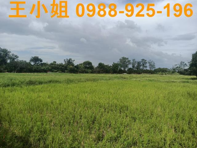 桃園新屋農地-12