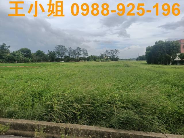 桃園新屋農地-8