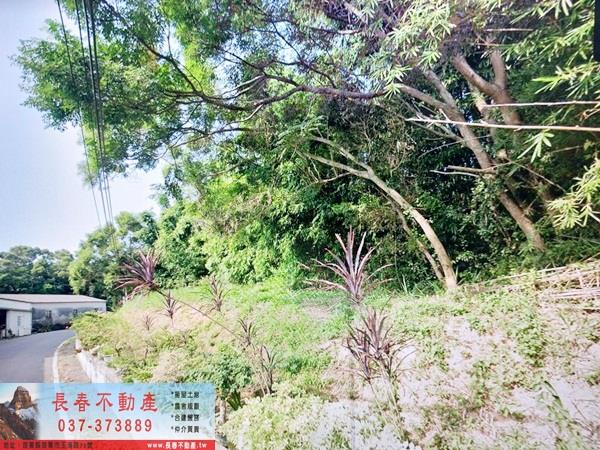 新竹香山農地-1