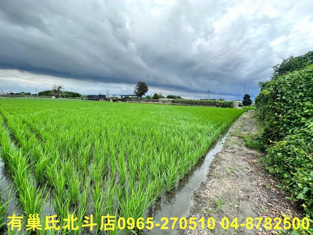 溪湖農地-4