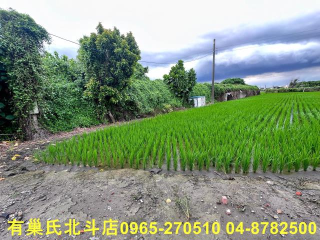 溪湖農地-5