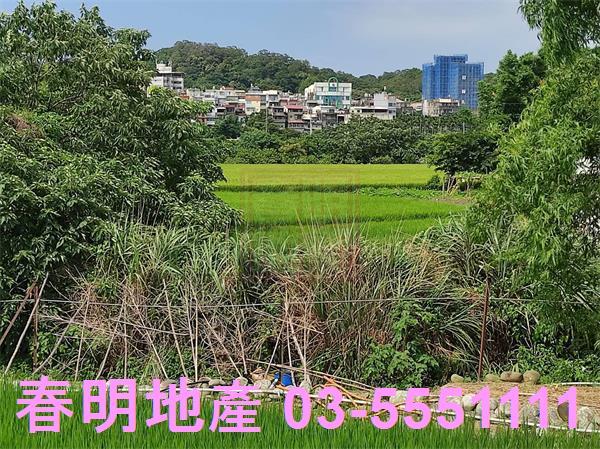 芎林建地-1