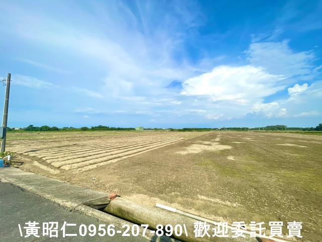 台南佳里農地-4