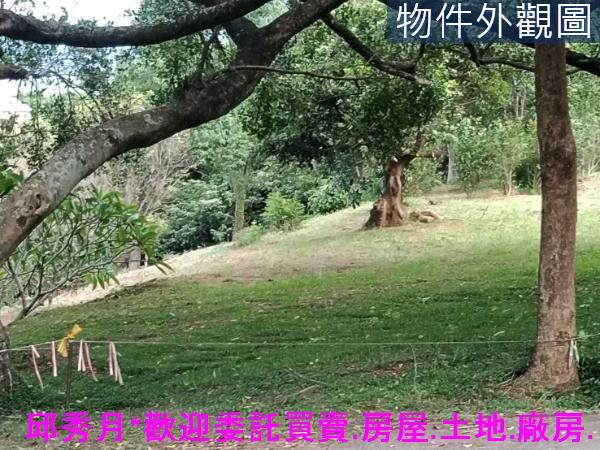 三芝農地-4