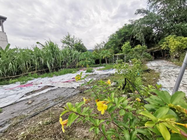 宜蘭員山農地-9