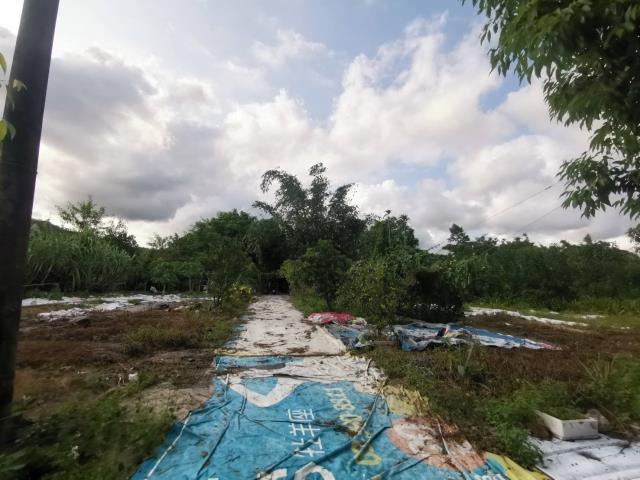 宜蘭員山農地-2