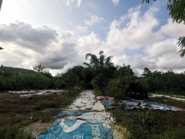 宜蘭員山農地-3
