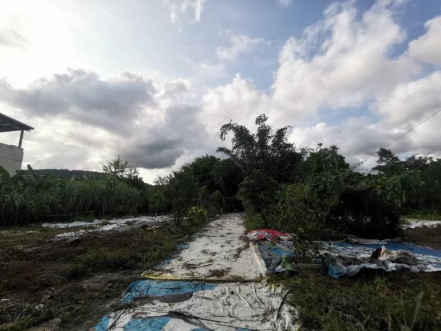 宜蘭員山農地-5