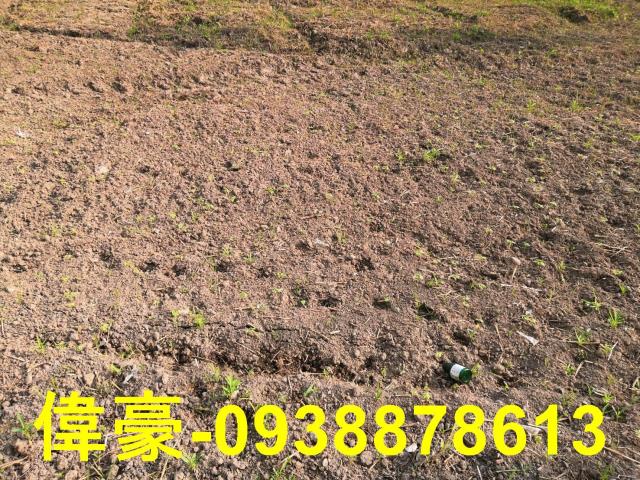 高雄岡山農地-0