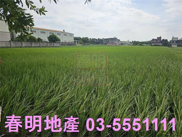 新竹農地-5