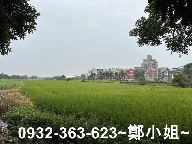 桃園八德農地-4