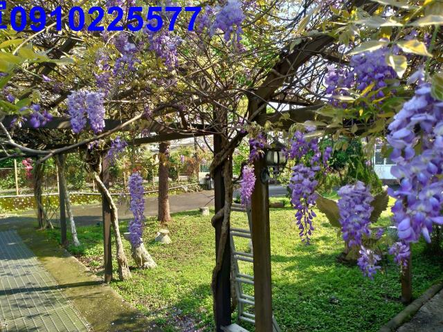 員山農地-7